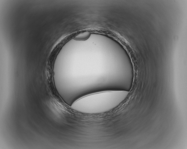 X0000116841400200912181105