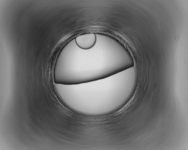 X0000116841402200912181105