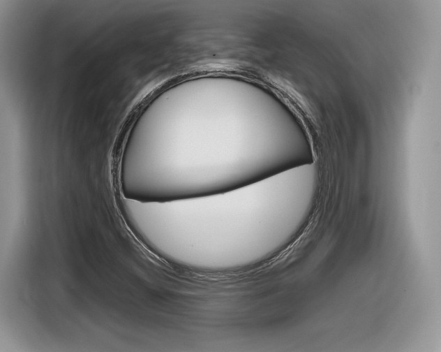 X0000116841404200912181105