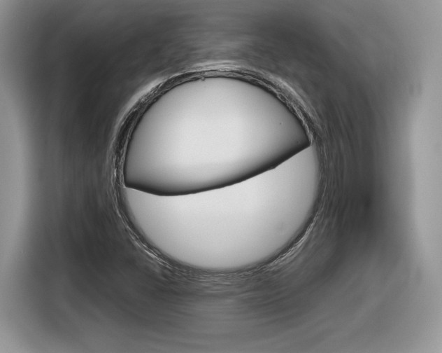 X0000116841406200912181105