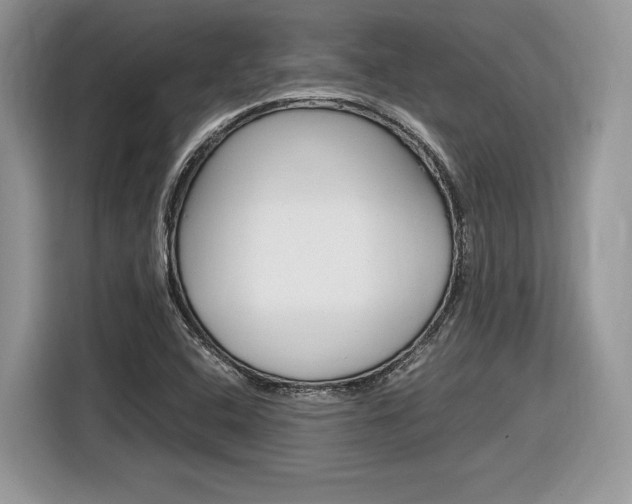 X0000116841408200912181105