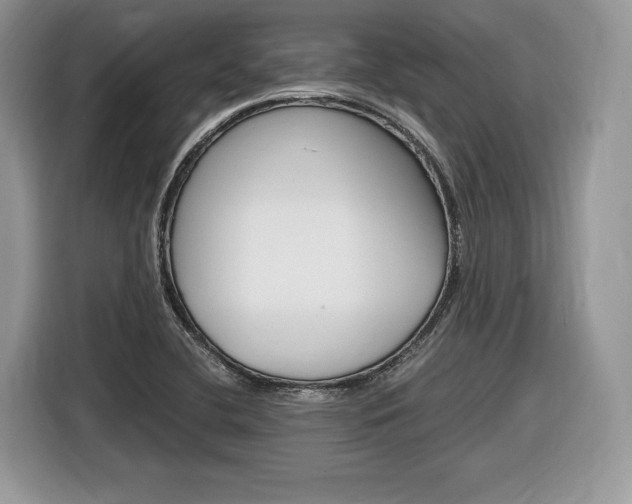 X0000116841412200912181105