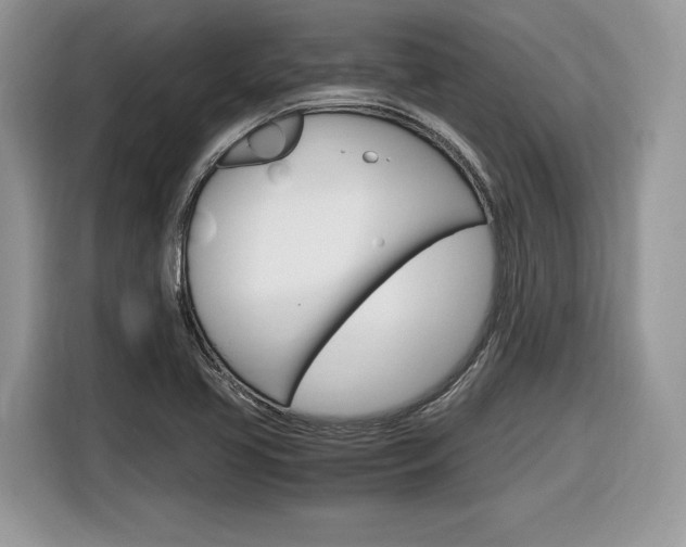 X0000116841413200912181105