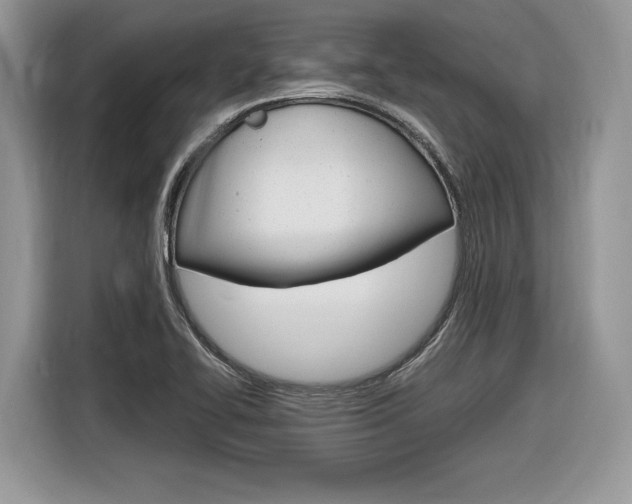 X0000116841414200912181105