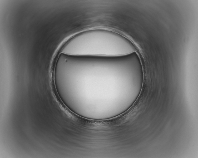 X0000116841416200912181105