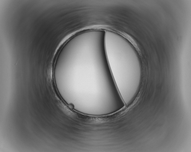X0000116841420200912181105