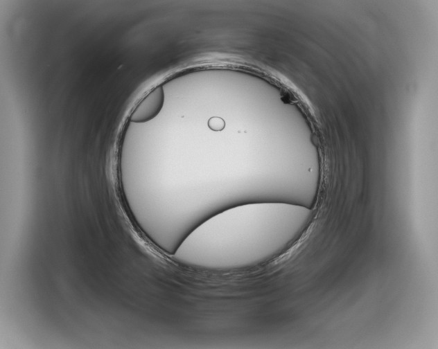 X0000116841421200912181105