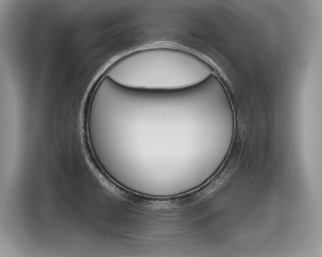 X0000116841422200912181105