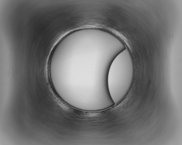 X0000116841423200912181105