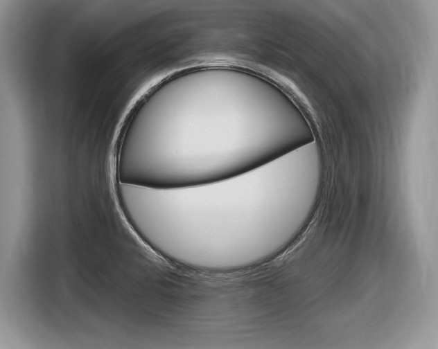 X0000116841424200912181105