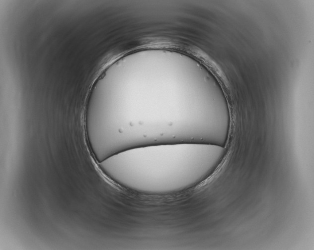 X0000116841425200912181105