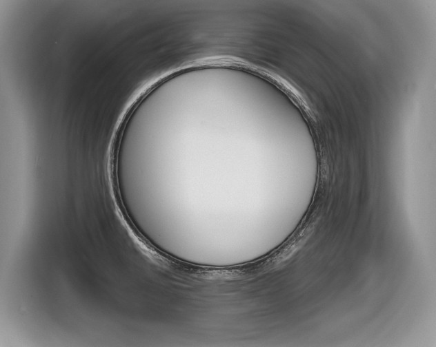 X0000116841430200912181105