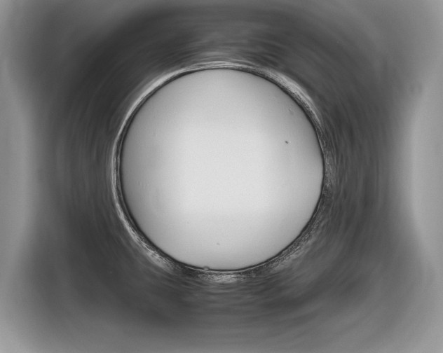 X0000116841431200912181105