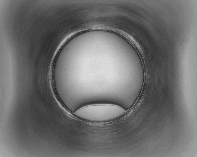 X0000116841432200912181105