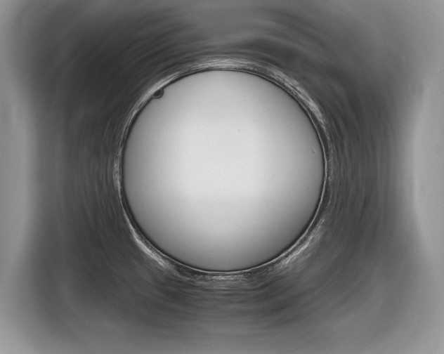 X0000116841433200912181105
