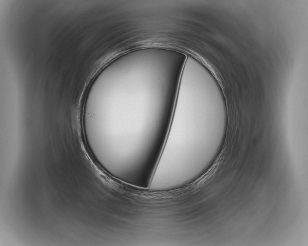 X0000116841434200912181105