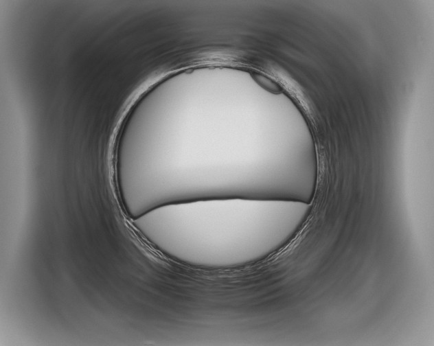 X0000116841435200912181105