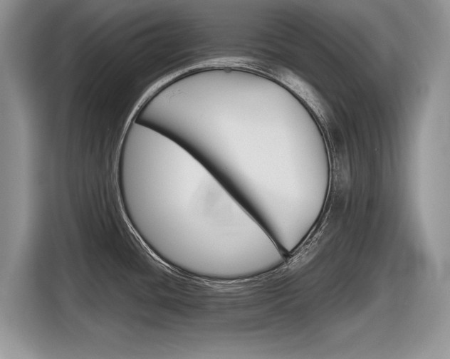 X0000116841436200912181105