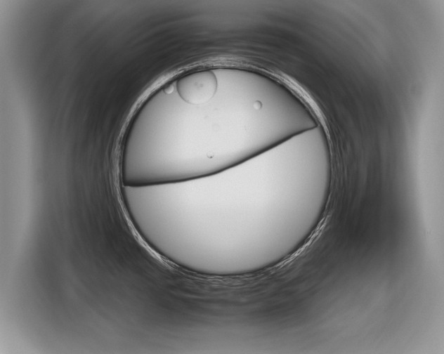 X0000116841437200912181105