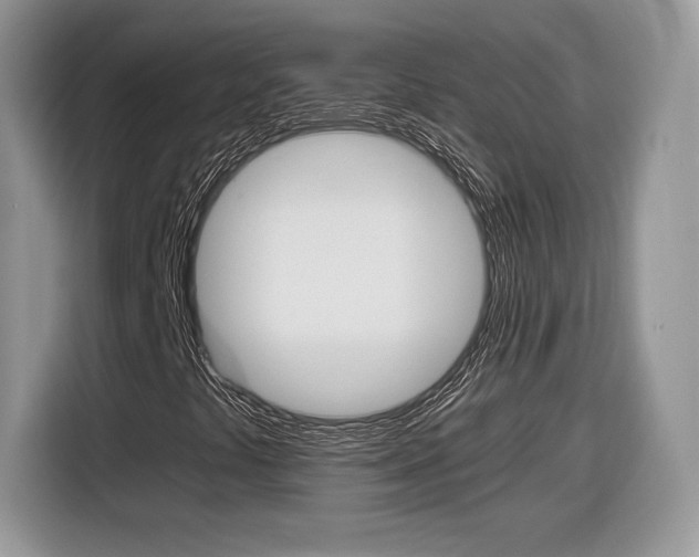 X0000116841441200912181105