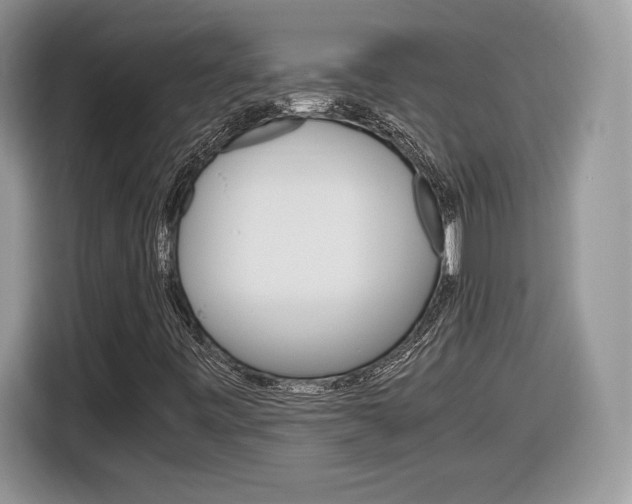 X0000116841443200912181105