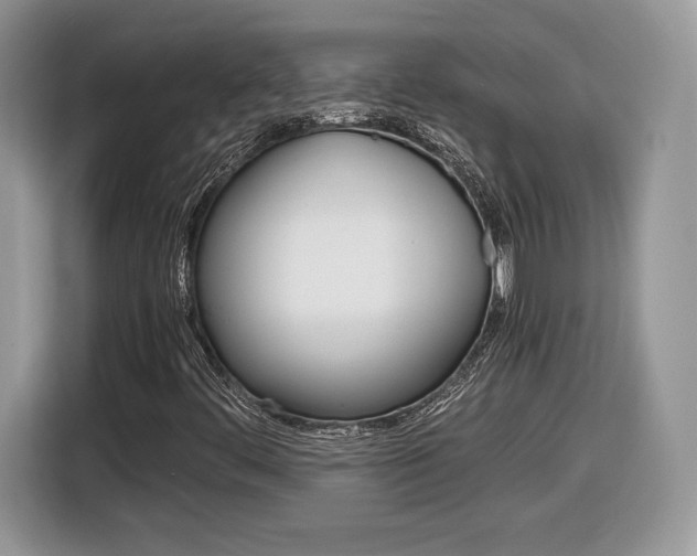 X0000116841444200912181105