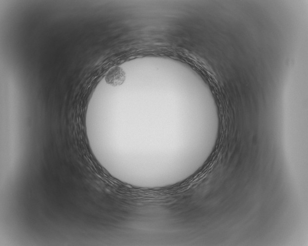 X0000116841445200912181105