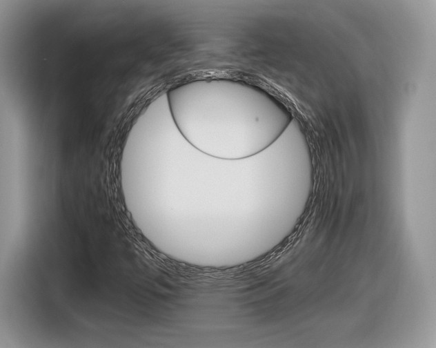 X0000116841447200912181105