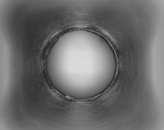 X0000116841448200912181105