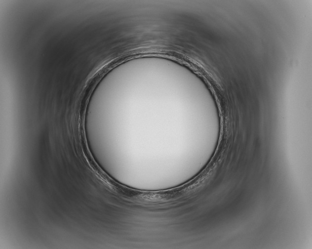 X0000116841450200912181105