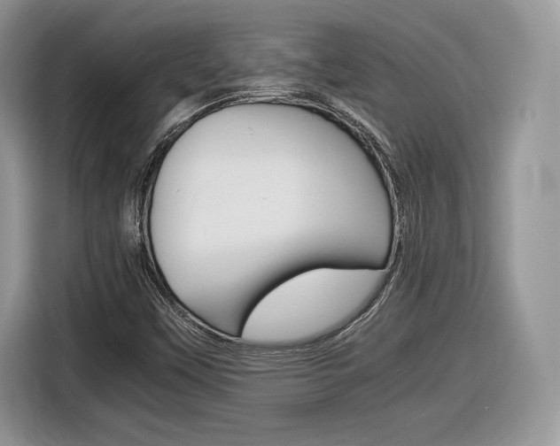 X0000116841451200912181105