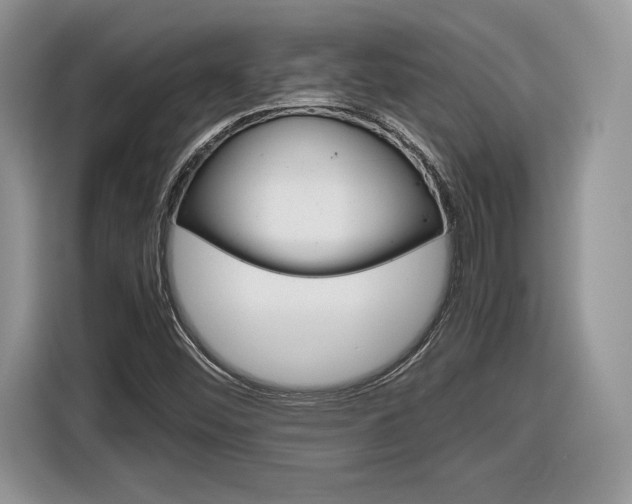 X0000116841452200912181105