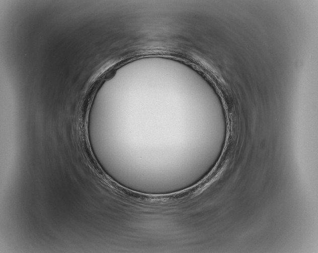 X0000116841453200912181105