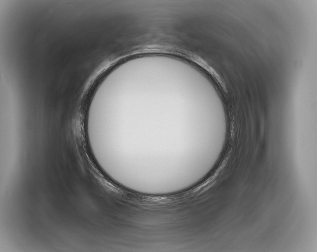 X0000116841454200912181105