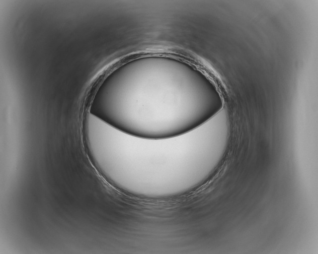 X0000116841456200912181105