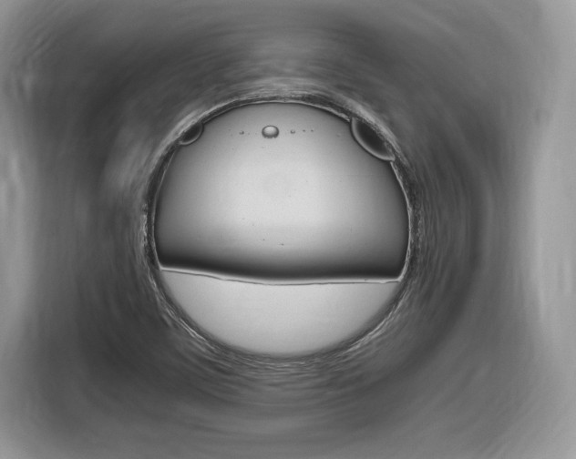 X0000116841459200912181105