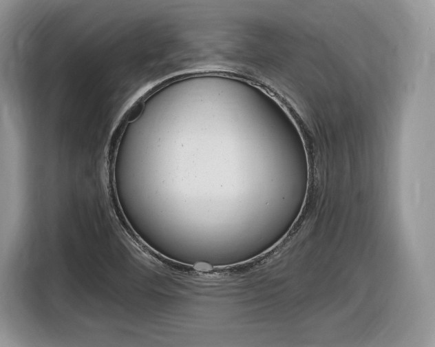 X0000116841460200912181105