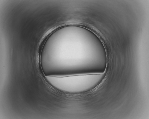 X0000116841461200912181105