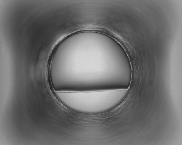 X0000116841463200912181105