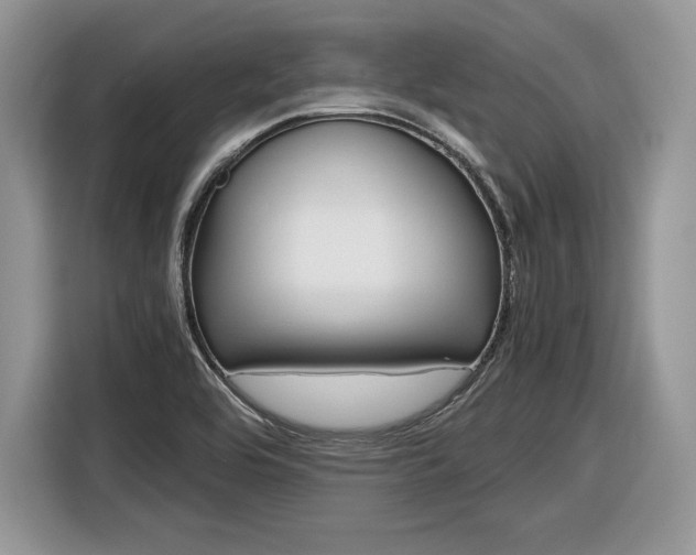 X0000116841464200912181105