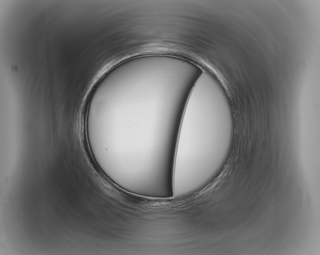 X0000116841467200912181104