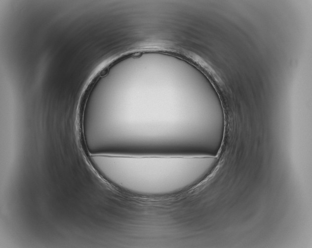 X0000116841469200912181104