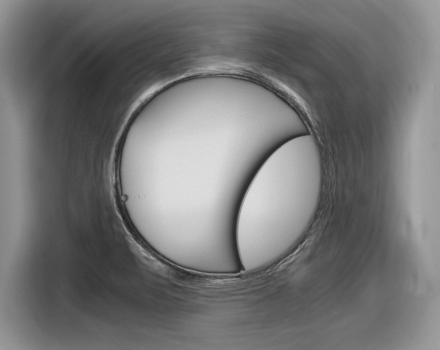 X0000116841471200912181104