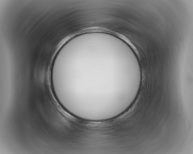 X0000116841474200912181104