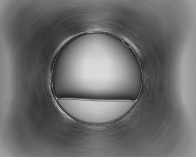 X0000116841476200912181104