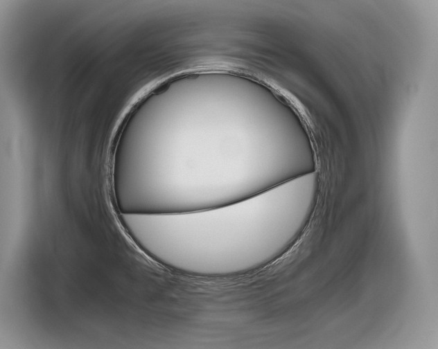 X0000116841477200912181104