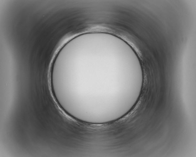 X0000116841478200912181104