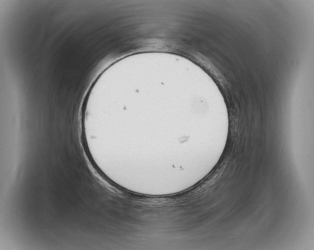 X0000116841479200912181104