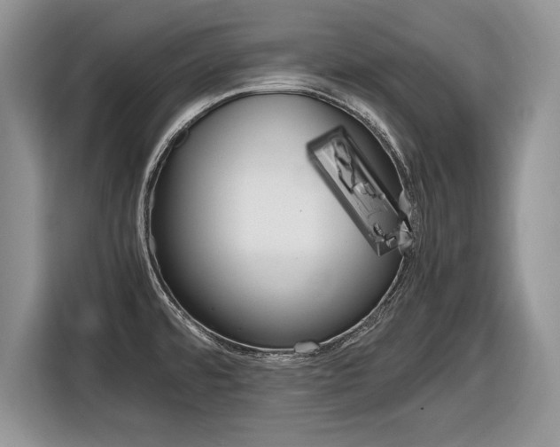 X0000116841480200912181104