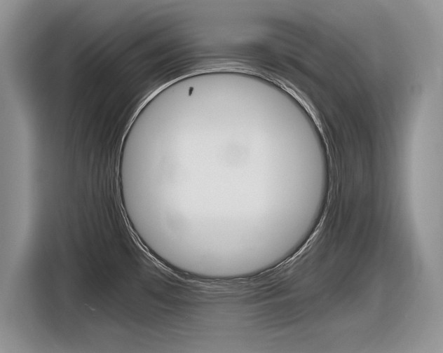 X0000116841481200912181104